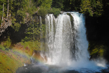 Obraz premium Rainbow over Koosah Waterfall in Oregon Cascade Mountains