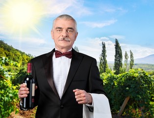 Waiter, Wait Staff, Food Service Occupation.