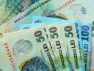 Fan of Romanian lei bills