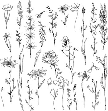 floral doodle set