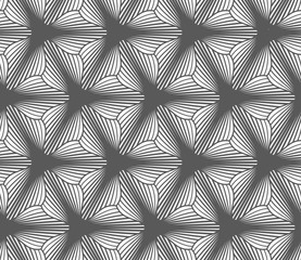 Monochrome gradually striped three pedal flowers