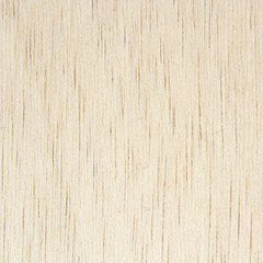 white wood background or texture