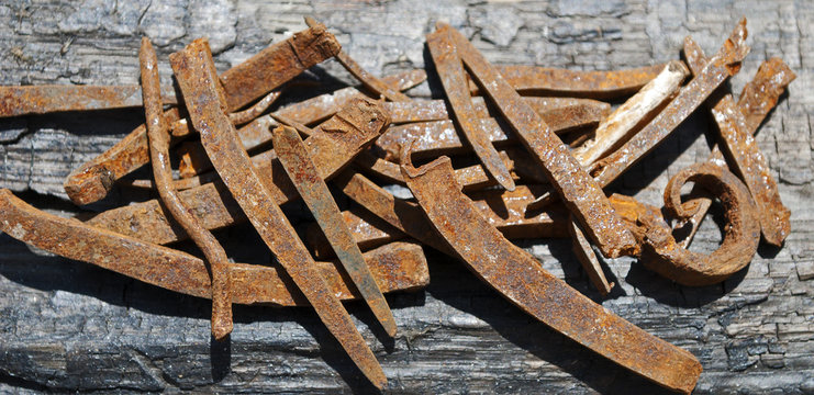 Antike, rostige N&auml;gel aus dem 18. Jahrhundert auf Mooreiche Holz
