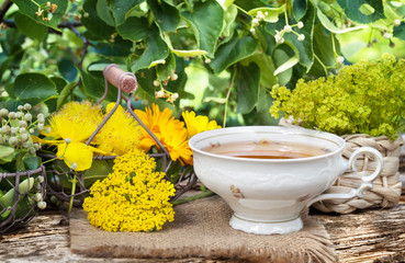 Tasse Kräutertee und Heilpflanzen © fotoknips