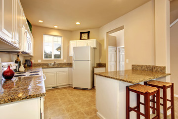 Modern kitchen with marble counters and beautiful decor.