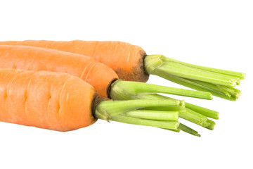 Three carrots isolated on a white background