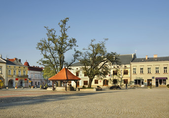 Draw-well  on Market Square in Krosno. Poland