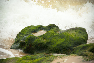 Waves breaking on the stone covered with seaweed