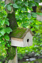 Fototapeta na wymiar birdhouse hanging on a tree