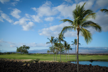 Beautiful Gold Course on the Big Island of Hawaii