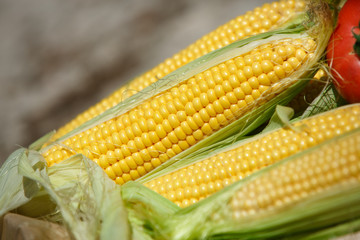 Fresh corn vegetables