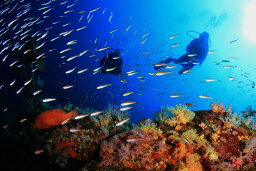 Obraz na płótnie Canvas Scuba diving on coral reef underwater