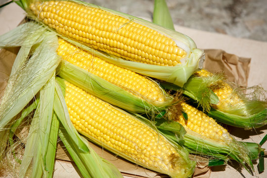 Fresh corn vegetables