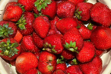 Ripe strawberries.