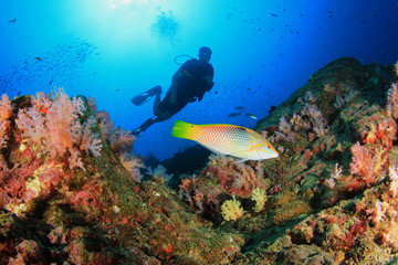 Fototapeta na wymiar Scuba diving on coral reef underwater