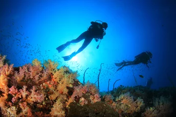  Duiken op koraalrif onder water © Richard Carey