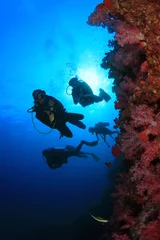 Stickers pour porte Plonger Plongée sous-marine sur les récifs coralliens sous l& 39 eau