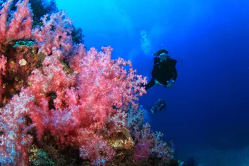 Cercles muraux Plonger Plongée sous-marine sur les récifs coralliens sous l& 39 eau