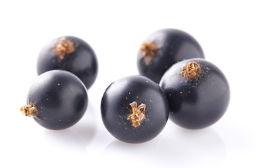 Currant berry