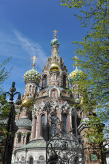 Fototapeta na wymiar domes of Orthodox Church of the Savior on blood in St. Petersbur