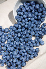 Fresh Blueberries organic food
