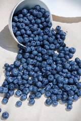 Fresh Blueberries organic food