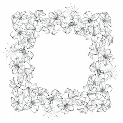  Hand-drawn floral frame