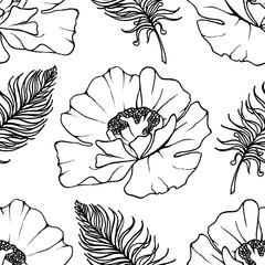 Doodle black and white poppies feathers monochrome seamless pattern vector background texture