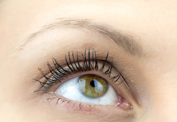 Obraz premium Upper part of females face closeup on eye looking up