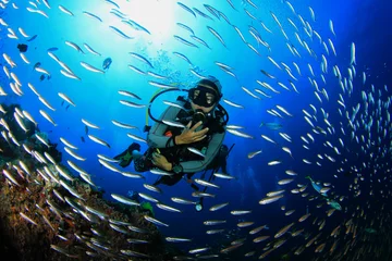 Wall murals Diving Scuba diving on tropical coral reef with fish underwater