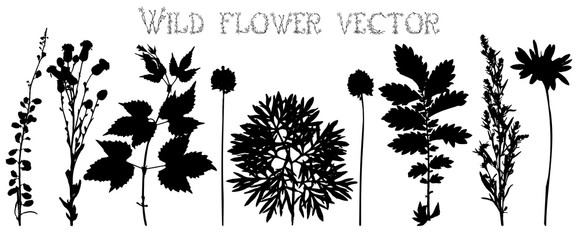 Silhouettes of wild flowers and leaves vector - 86744382