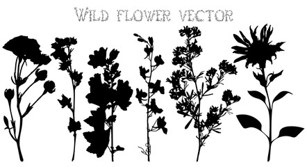 Silhouettes of wild flowers and leaves vector - 86744390