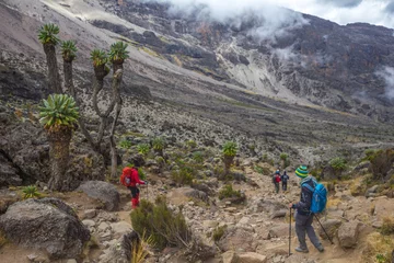 Cercles muraux Kilimandjaro trekking am kilimanjaro