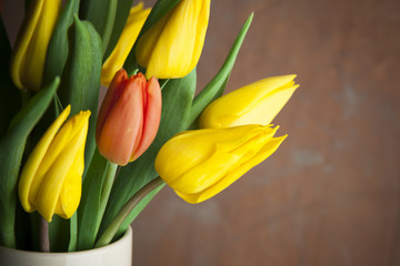 Single red tulip in vase of yellow tulips