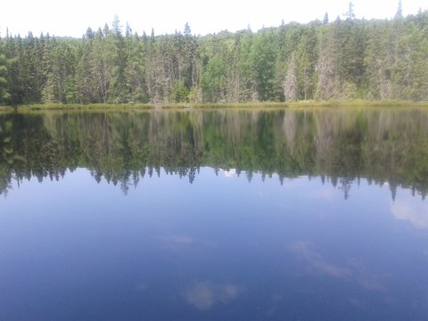 Reflet sur le Lac-aux-Atocas