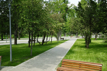 Green city park