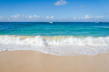 Ocean and tropical sandy beach background