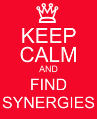 Keep Calm and Find Synergies Red Sign