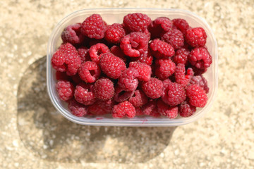 Fresh raspberries in a plastic bowl. Top view, selective focus.