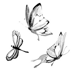 butterfly,watercolor design