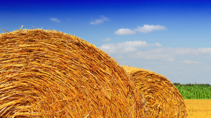 Hay bale in the countryside