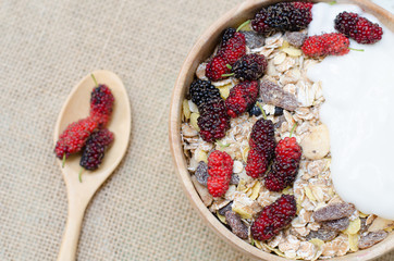 breakfast : home made yogurt with oat flakes  in bowl