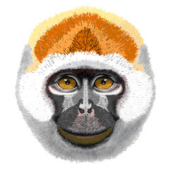Funny monkey head with smile on the face and fluffy fur, Vector