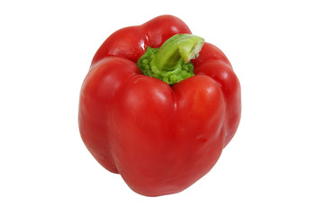 Bell pepper fresh red