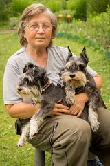 Senior happy woman in glasses and two black and silver miniature schnauzer dogs in a garden