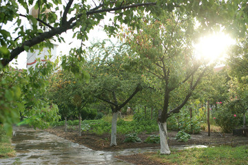 Монастырь Святого Георгия в Помории
