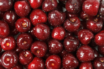 background of fresh cherries