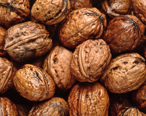 background of wet walnuts