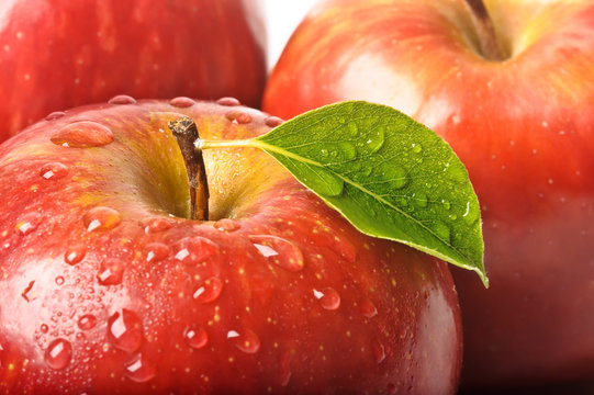 isolated juicy red apple