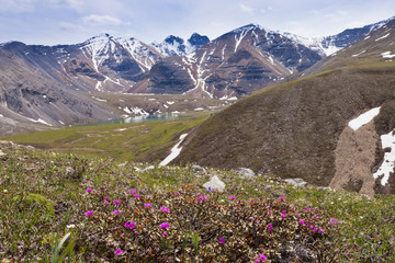 Fototapeta premium Flower Springs Lake northern Rockies BC Canada